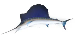 Sailfish Wall Mount Replica