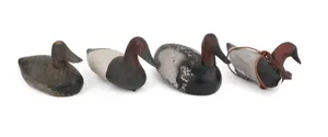 Four Canvasback Duck Decoys