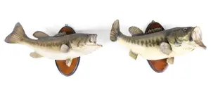 Two Taxidermy Mounts of Largemouth Bass