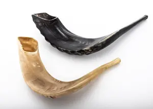 TWO VINTAGE HAND CARVED SHOFARS.