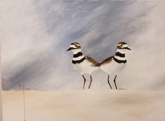 Oil Painting Depicting Killdeer Birds on Canvas from auction in Covington, Louisiana — image 46