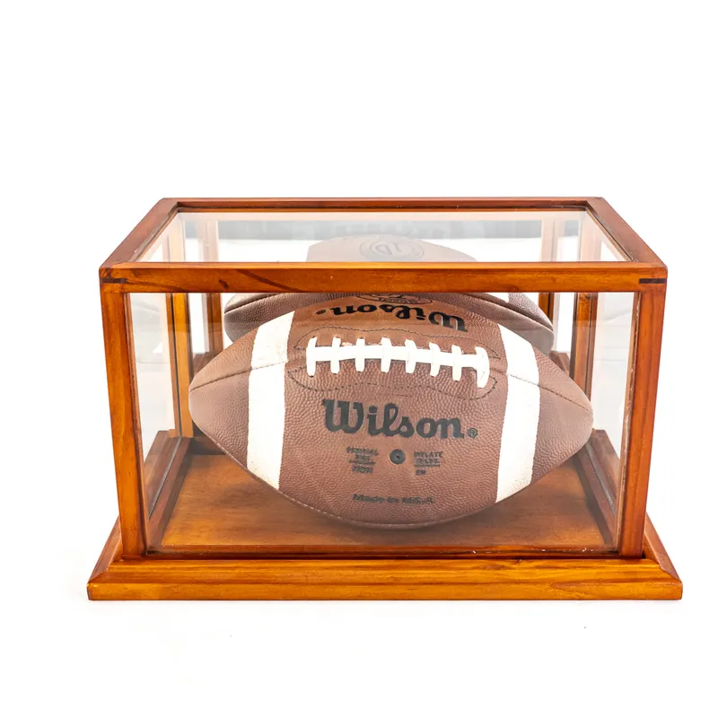 RUDY Motion Picture Used Football from auction in Union, Illinois — image 14