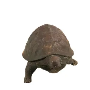 Cast Iron Tortoise Yard Art / Fountain
