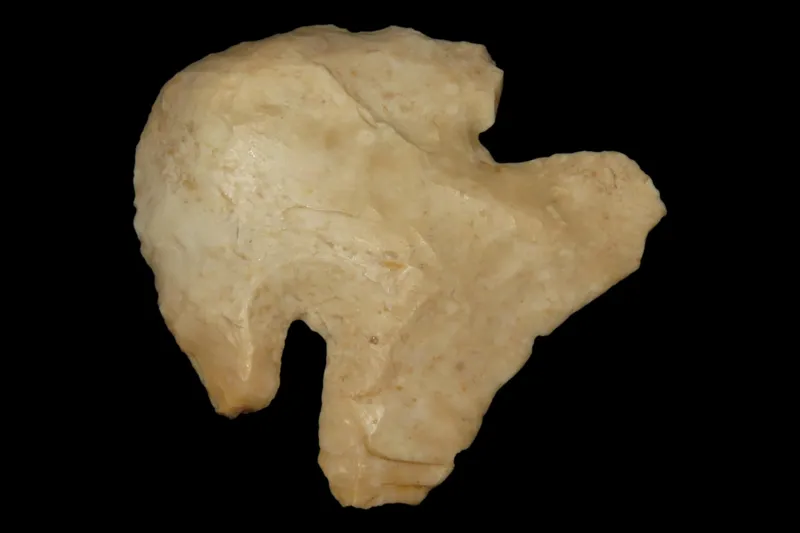 1 3/4" Thebes Blunt, Found in Illinois from auction in Quincy, Illinois — image 19