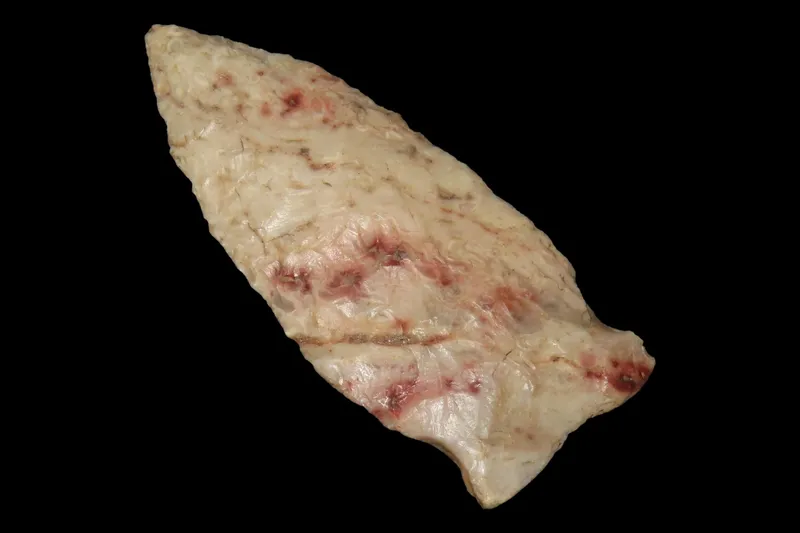 2 1/4" Matanzas Point, Found in Iowa from auction in Quincy, Illinois — image 20