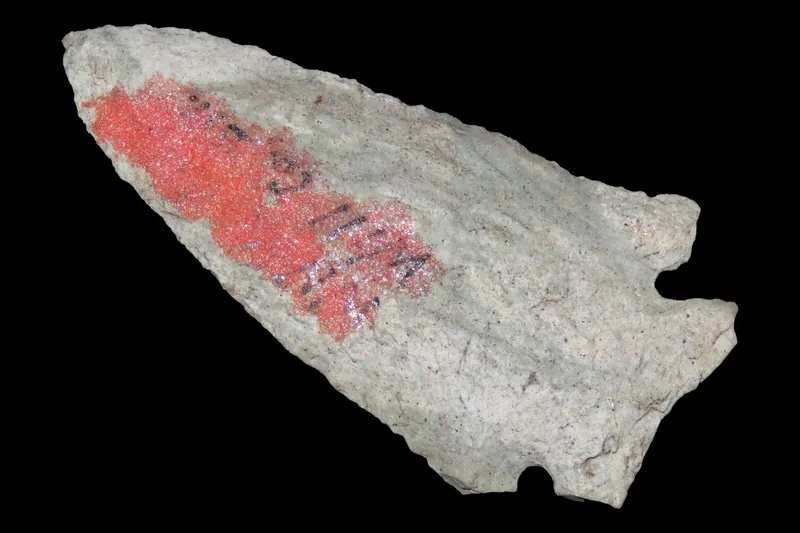 2 3/4" Corner Notch Point, Indiana Green Chert, Found in Central Indiana from auction in Quincy, Illinois — image 25