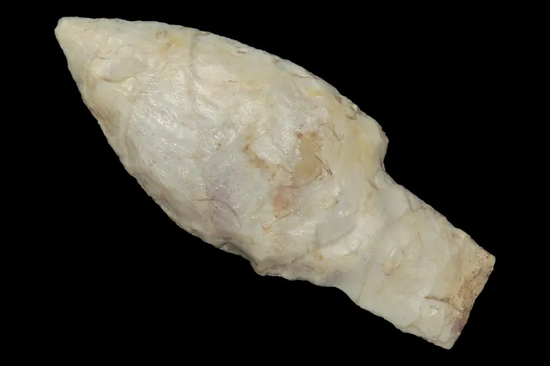 2 3/4" Square Stem Point, Found in Iowa from auction in Quincy, Illinois — image 29