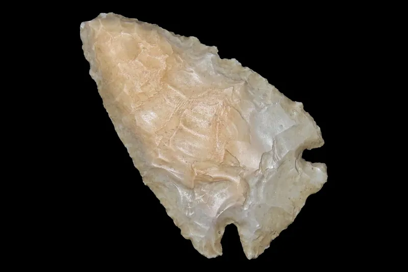 2 3/8" Pulaski Point, Tabular Warsaw Chert, Clark Co., Illinois from auction in Quincy, Illinois — image 30
