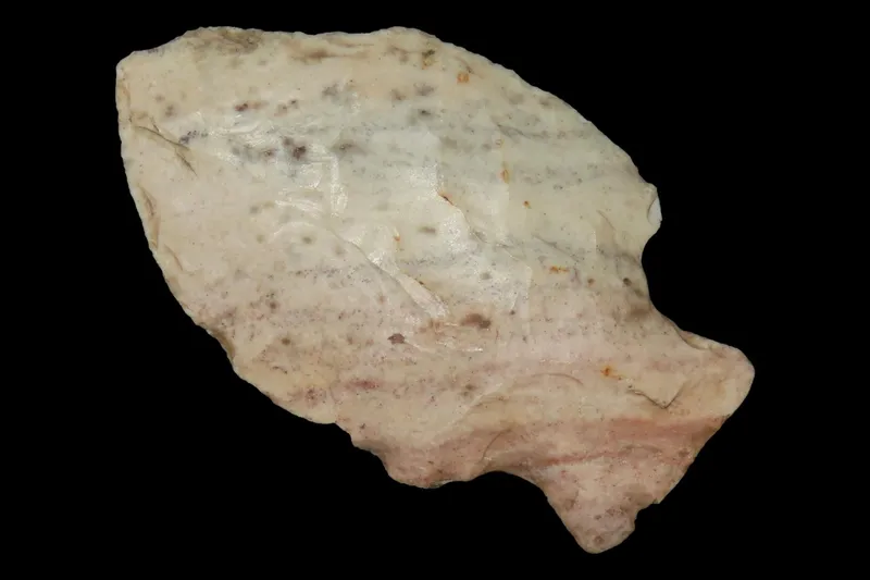 2 1/4" Table Rock, Found in Iowa from auction in Quincy, Illinois — image 38