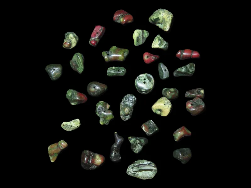 Collection of Fossil Coral, Middle East from auction in Quincy, Illinois — image 5
