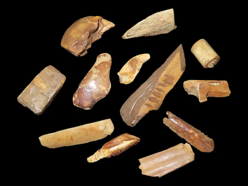 Lot of 12 Fossilized Eskimo Inuit Bone Artifacts, St. Lawrence Island, Alaska from auction in Quincy, Illinois — image 4