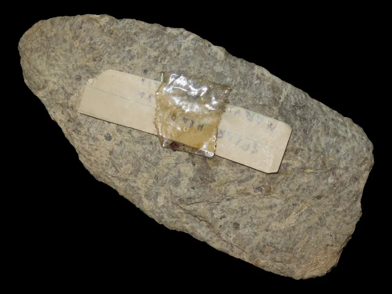 3 1/4" Archaic Blade, Found 1920-1930, Marvin Farm/Beaver Site, Attleboro, Massachusetts, Ex. Peter Engstrom, Ex. Dr. Robbins Collection from auction in Quincy, Illinois — image 31