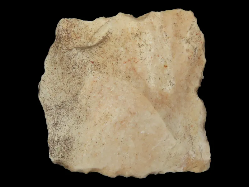 2 1/8" x 2 1/8" Paleolithic Square Knife, Europe from auction in Quincy, Illinois — image 41
