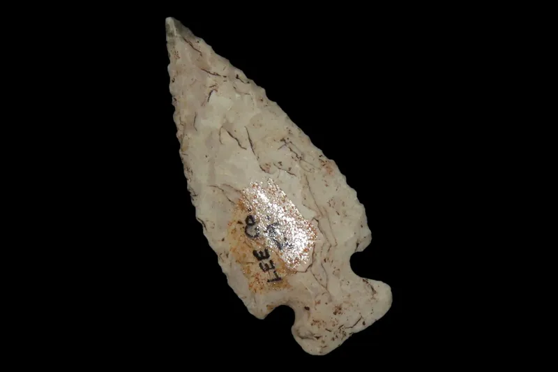 2" Scallion Bird Point, Lee Co., Iowa from auction in Quincy, Illinois — image 6