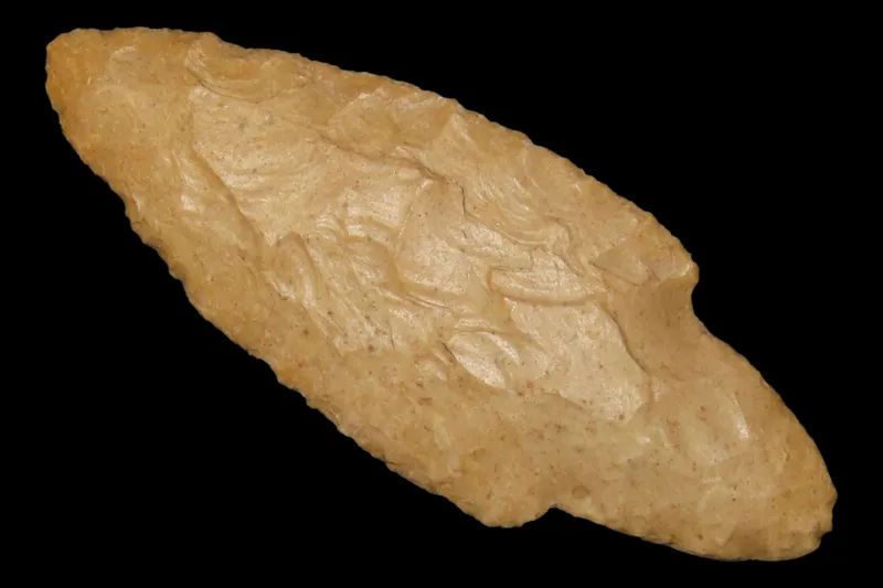 3 1/8" Adena Point, Calhoun Co., Illinois from auction in Quincy, Illinois — image 37