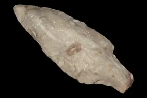 2 1/2" Dickson, Posey Co., Indiana