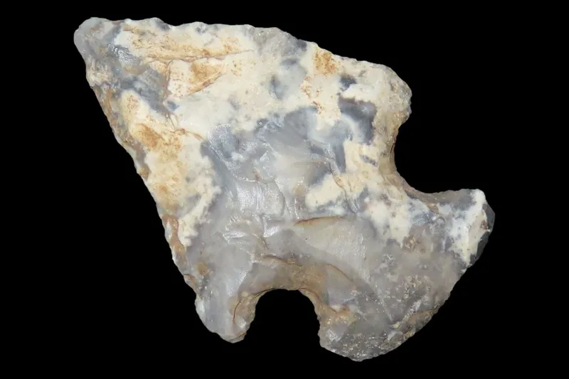 1 1/8" Koster Bird Point, Greene Co., Illinois from auction in Quincy, Illinois — image 9