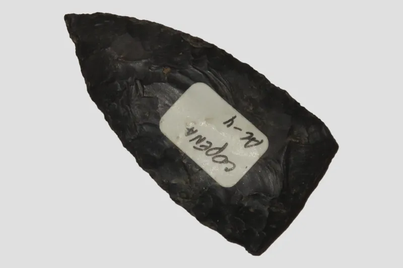 2 1/2" Copena Blade, Kentucky from auction in Quincy, Illinois — image 13