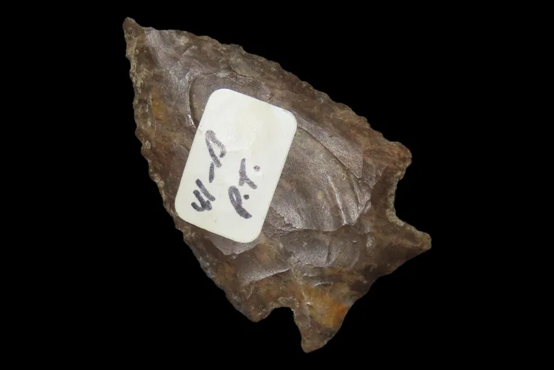 2 1/16" Pine Tree, Dover Chert, Tennessee, Needle Tip, Ex. Walt McIntire Collection from auction in Quincy, Illinois — image 17