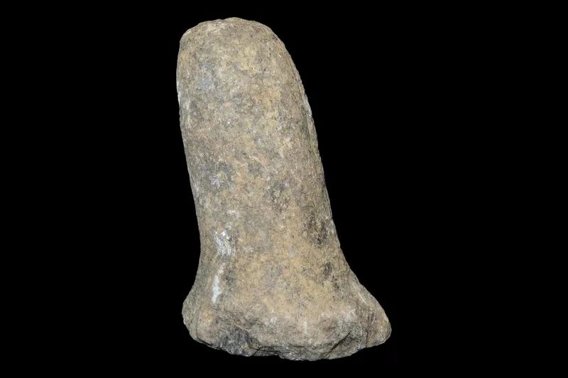 4 1/2" Very Heavy Schist Hoof Pestle, Licking Co., Ohio from auction in Quincy, Illinois — image 26