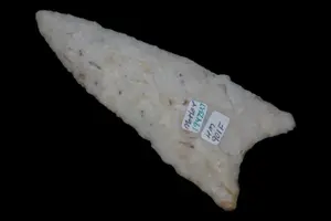 4 3/4" Dalton, Motley COA, Found in Adams Co. IL, Ex Herb Mangold