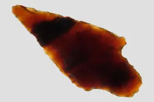 2 5/8" Adena, Knife River Material, Adams Co., Illinois, Found on a Hopewell Site by Mike Johnson