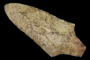 3 1/2" Dickson, Pettis Co., Missouri, Ex. Dennis Smith
