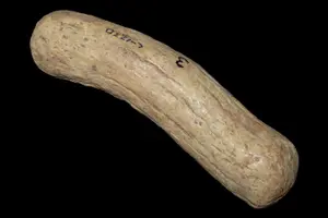4 1/2" Antler Atlatl Handle, Missouri, Ex. Glen Leasman