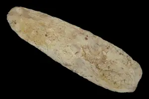 6 1/2" Sedalia Digger Adze, Saline Co., Missouri, Late Archaic, Reported 3,000-6,000 Years Old, Associated with Sedalia and Nebo Hill Cultur