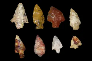 Lot of Bird Points, Petrified Wood and Agate, Whitman Co., Washington