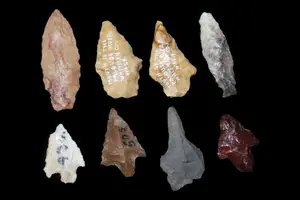 Lot of Bird Points and Drill, Petrified Wood and Agate, Whitman Co., Washington