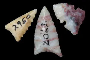 Lot of Fresno and Bird Points, J.J. Currie Ranch, Randall Co., Texas, Palo Duro Canyon, Thomas Draw at Big Falls Sites