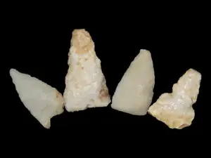 Lot of 4 Bird Points, New Mexico