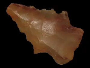 1 1/8" Merrybell Point, Petrified Wood, New Mexico