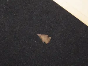 5/8" Desert Point, Agate, New Mexico