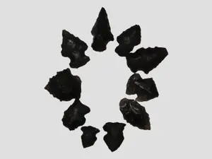 Lot of Various Bird Points, New Mexico