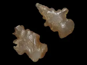 Lot of 2 Lady Island Points, Agate, New Mexico