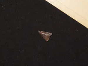 1/2" Fresno Point, New Mexico