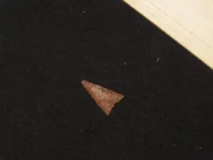 7/8" Fresno Point, New Mexico