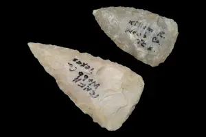 Lot of 2 Triangular Points, Webb Co., Texas