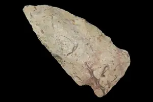 2 3/8" Rice Lobed Point, Cooper Co., Missouri