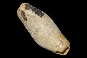1 3/4" Limestone Bead, Brown Co., Illinois