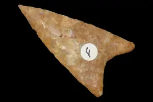 3 3/8" Kenny Point, Coryell Co., Texas