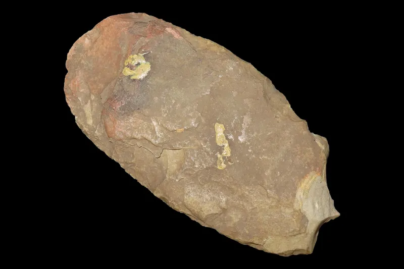7 1/2" Polished Flint Spade, St. Charles Co., Missouri, Found by Ronald Knowles from auction in Quincy, Illinois — image 10