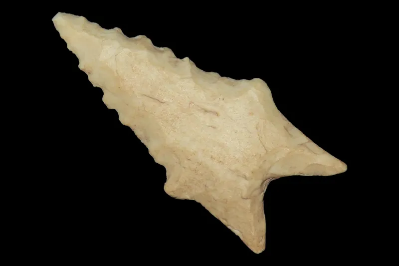 1 3/4" Dalton, St. Charles Co., Missouri, Found by Ronald Knowles from auction in Quincy, Illinois — image 44