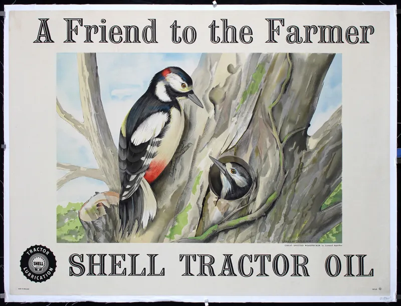Shell Tractor Oil by Leonard Applebee, 1940s from auction in Clayton, California — image 25