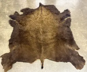 Large American Bison Hide Rug