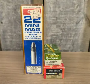 A Lot of 175 Rounds of CCI Remington and Federal Ammunition .22 Long Rifle