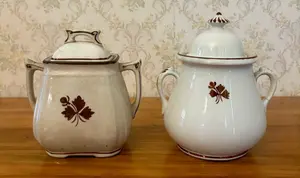 A Pair of English Ironstone Sugar Bowls by Alfred Meakin and Thomas Elsmore and Son