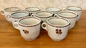 A Set of Ten Tea Leaf Pattern Ironstone Cups